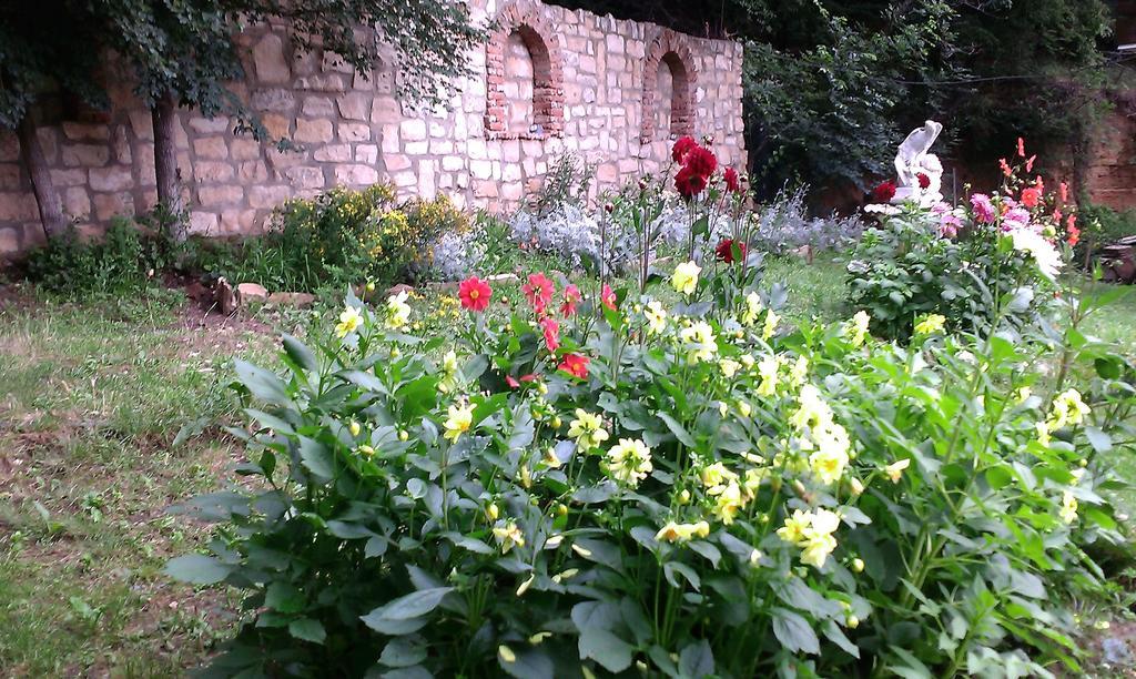 Villa Nasco Zlate písky Exteriér fotografie