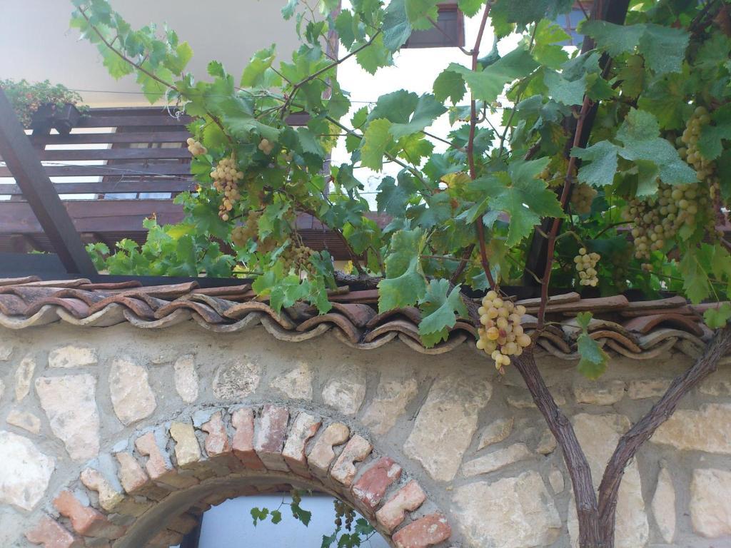 Villa Nasco Zlate písky Exteriér fotografie